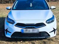 Gebraucht Kia Ceed 160 PS (117 kW) 2021 Weiß Kleinwagen