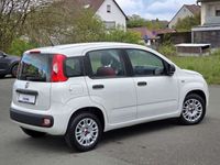 gebraucht Fiat Panda 1.2 Easy 1.HAND+KLIMA+EURO 6