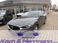 Gebraucht Mazda CX-30 Exclusive-Line 140 PS (102 kW) 2025 Machine gray SUV
