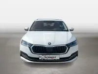 Gebraucht Skoda Octavia Style 116 PS (85 kW) 2023 Weiß Kombi