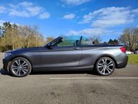 Gebraucht BMW 220 Advantage 190 PS (139 kW) 2019 Grau Cabrio