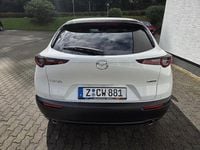 Usata Mazda CX-30 Exclusive 122 CV (89 kW) 2025 Bianco SUV