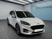 Gebraucht Ford Kuga ST-Line X 120 PS (88 kW) 2024 Weiß SUV