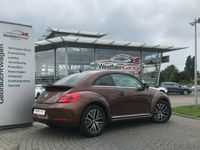 Gebraucht VW Beetle Allstar 150 PS (110 kW) 2016 Andere farbe metallic Kleinwagen