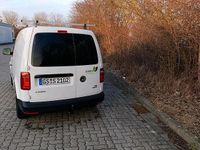 Gebraucht VW Caddy 110 PS (80 kW) 2016 Weiß Van / Kleinbus