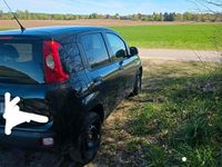 Gebraucht Fiat Panda 2017 Schwarz Kleinwagen