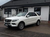 Gebraucht Mercedes ML350 258 PS (189 kW) 2013 Weiß SUV