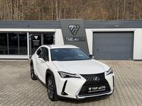 Gebraucht Lexus UX 250h 184 PS (135 kW) 2024 Weiß SUV