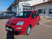 Neu Fiat Panda 69 PS (50 kW) 2025 Rot Limousine