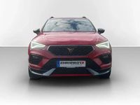 Gebraucht Cupra Ateca 300 PS (220 kW) 2022 Velvetrot metallic SUV