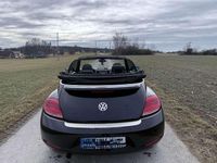 Gebraucht VW Beetle Allstar 105 PS (77 kW) 2016 Schwarz Kleinwagen