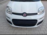 Gebraucht Fiat Panda Pop 69 PS (50 kW) 2014 Weiß Kleinwagen
