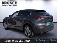 Gebraucht Mazda CX-30 Selection 360 PS (264 kW) 2021 Grau SUV