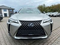 gebraucht Lexus UX 250h Hybrid Luxury Line