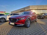 Gebraucht Mazda CX-30 140 PS (102 kW) 2024 Soul red crystal m SUV