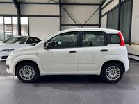 Gebraucht Fiat Panda Easy 69 PS (50 kW) 2017 Weiß Kleinwagen