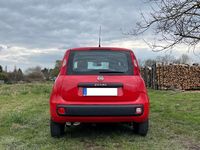Gebraucht Fiat Panda Easy 69 PS (50 kW) 2018 Rot Kleinwagen