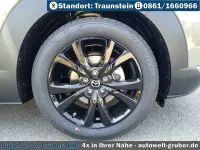 Neu Mazda CX-30 Homura-Line 140 PS (102 kW) 2026 SUV
