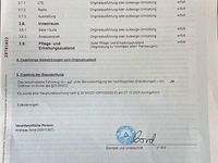 Gebraucht BMW 325 261 PS (191 kW) 1994 Rot Cabrio