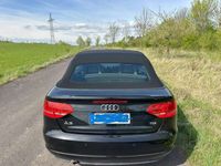 gebraucht Audi A3 Cabriolet 2.0 TDI DPF Ambition