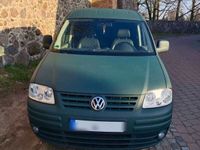 gebraucht VW Caddy Life 1.9 TDI 55kW Tramper Tramper