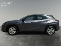 Gebraucht Lexus UX 250h Business Edition 184 PS (135 kW) 2021 Grau SUV