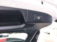 Neu Ford Focus ST-Line 116 PS (85 kW) 2025 Weiß Limousine