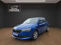 Gebraucht Skoda Fabia Cool Plus 95 PS (69 kW) 2021 Raceblau metallic Kleinwagen