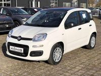 Gebraucht Fiat Panda 69 PS (50 kW) 2026 Gelato weiß dach schwarz (weis Kleinwagen