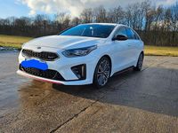 Gebraucht Kia ProCeed GT 204 PS (150 kW) 2021 Weiß Kombi