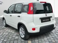 Gebraucht Fiat Panda 71 PS (52 kW) 2024 Gelatoweiss Kleinwagen