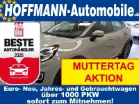Gebraucht Ford Puma Titanium 155 PS (114 kW) 2021 Fancygrau (metallic) SUV