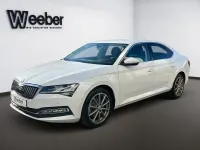 Gebraucht Skoda Superb Premium Edition 200 PS (147 kW) 2023 Moonweiss (metallic) Limousine
