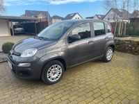 gebraucht Fiat Panda Easy grau 69PS top Zustand