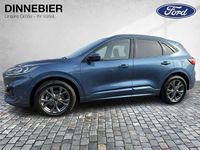 Gebraucht Ford Kuga ST-Line X 150 PS (110 kW) 2023 Blau SUV
