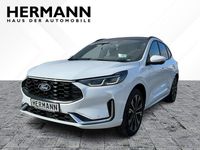 Neu Ford Kuga ST-Line X 242 PS (177 kW) 2026 Frozen white  (pn3gz) (weiß) SUV