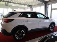 Gebraucht Opel Grandland X Business Innovation 181 PS (133 kW) 2019 Jade weiss/arktis weiss SUV