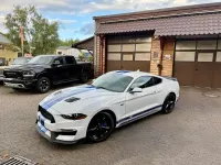 Gebraucht Ford Mustang Performance Edition 314 PS (230 kW) 2020 Weiß Coupé
