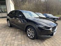 gebraucht Mazda CX-30 Selektion M-Hybrid Automatik