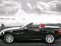 Gebraucht Mercedes SLK230 Edition 197 PS (144 kW) 2003 Schwarz Cabrio