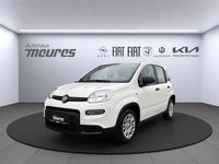 Gebraucht Fiat Panda 69 PS (50 kW) 2025 Kleinwagen