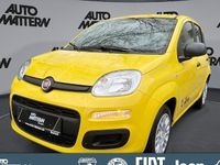 Neu Fiat Panda Cross Cross 70 PS (51 kW) 2026 Gelb Kleinwagen