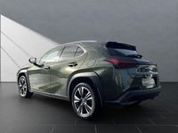 Gebraucht Lexus UX 250h 184 PS (135 kW) 2023 Terrane khaki SUV
