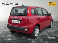 Gebraucht Fiat Panda 69 PS (50 kW) 2025 Rot Kleinwagen