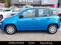 Neu Fiat Panda 69 PS (50 kW) 2025 Blau Kleinwagen