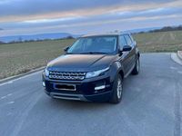 gebraucht Land Rover Range Rover evoque TD4 Aut. Pure