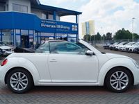 gebraucht VW Beetle Cabriolet *Klima*SHZ*PDC*Navi*Leder*GRA*