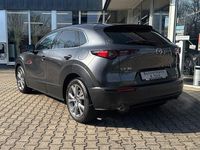 Gebraucht Mazda CX-30 Selection 150 PS (110 kW) 2022 Machine grey SUV