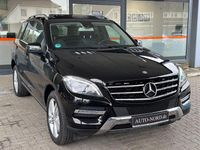 Gebraucht Mercedes ML250 204 PS (150 kW) 2012 Schwarz SUV