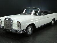 Gebraucht Mercedes 250 SE 150 PS (110 kW) 1966 Papyrus weiß 717 Cabrio